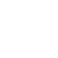 Verdo - Kew Bridge logo